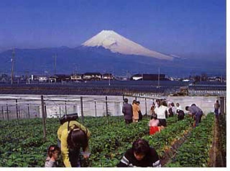 ゲストハウス+カフェわ　１日１組限定！ 築１００年の農家の古民家で宿泊体験、薪でお風呂沸かせます。焚き火もできます。 Kannami Ngoại thất bức ảnh